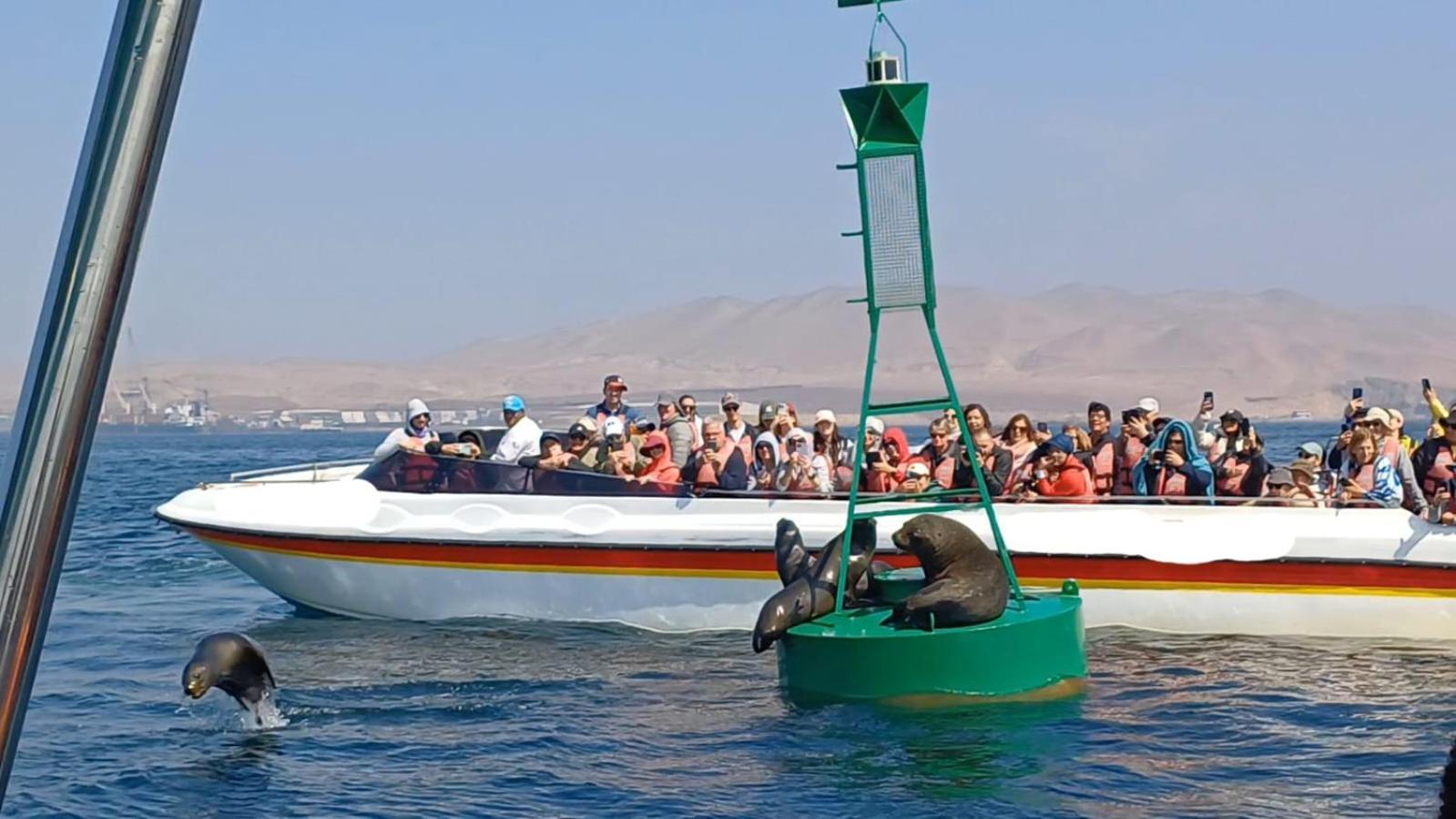 Arena Hostal Paracas Kültér fotó
